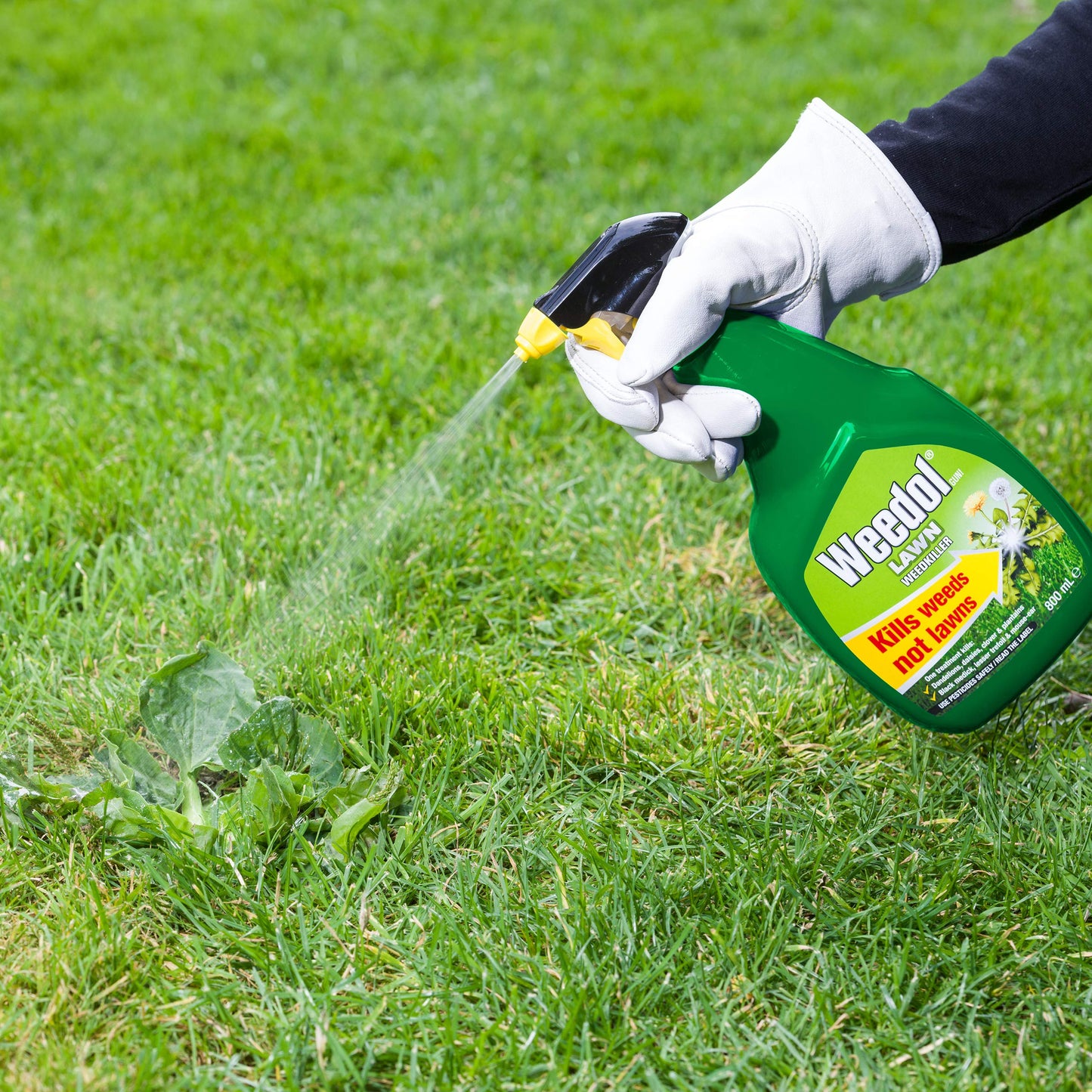 Weedol Lawn Weedkiller Spray 800ml
