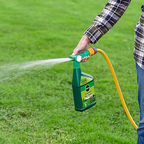 EverGreen Spray & Feed Lawn Food 1L
