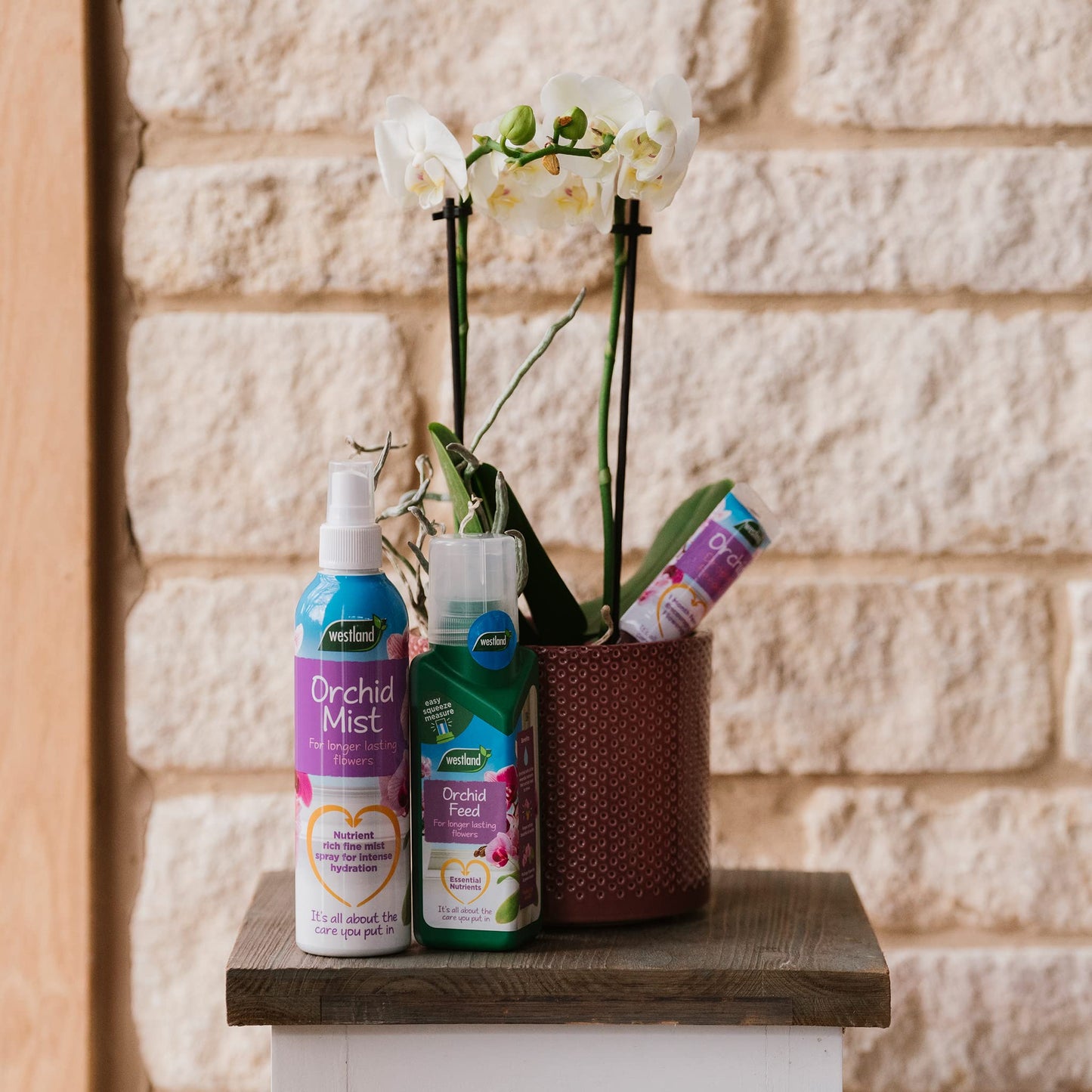 Westland Houseplant Potting Compost
