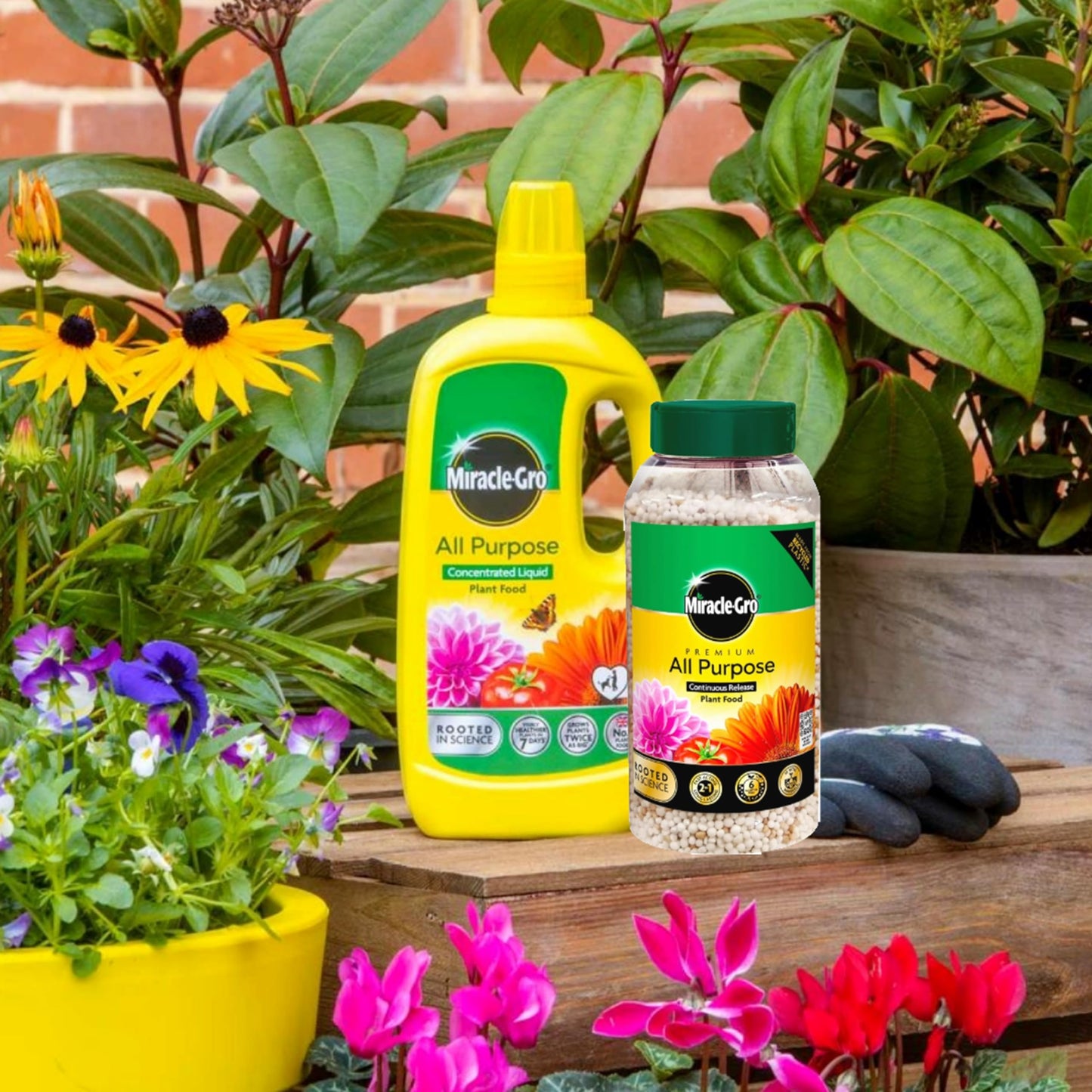 Miracle Gro Plant Food Bundle - 900g Slow Release 6 Month Plant Feed Granules & 800ml Concentrated Liquid Plant Food. All Purpose Garden Fertilizer for Outdoor & Indoor House Plants with Topline Card