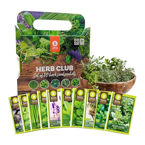 Herbs Grow Your Own Kit Set of 10 Seeds