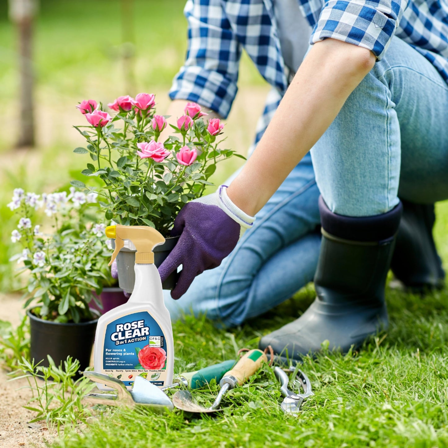Rose Clear Bug Spray Killer 800ml Pack of 2