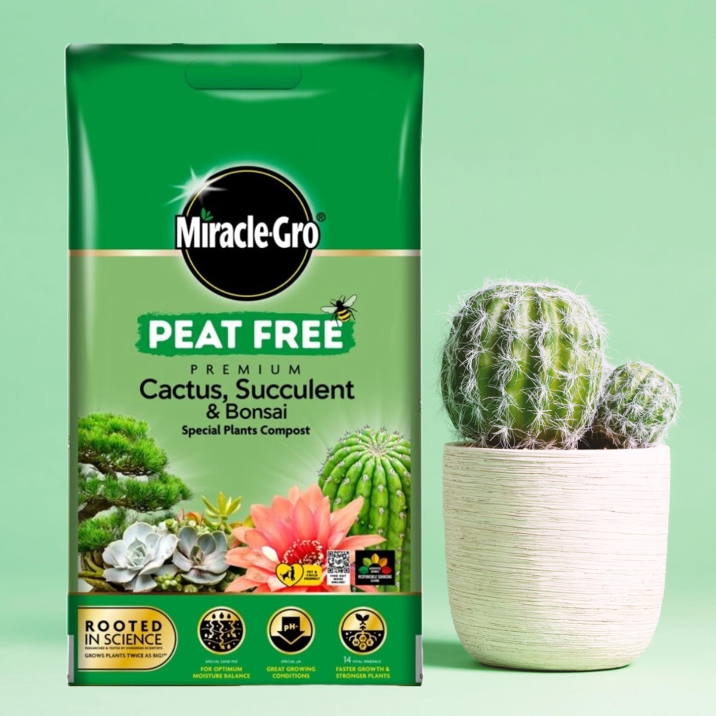 Cactus Succulent Plants Potting Compost - Premium Pack of 2 x 10L Peat Free Bonsai Tree Cactus Compost with Topline Card. Child and Pet Friendly Houseplant Compost for Indoor Plants