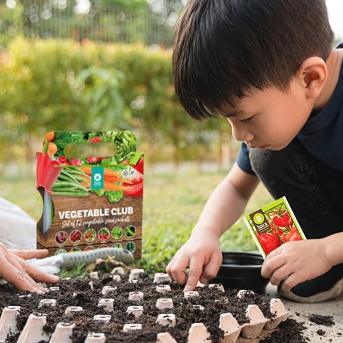 Grow Your Own Vegetable Seeds Set of 12