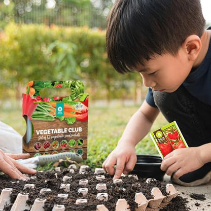 Grow Your Own Vegetable Seeds Set of 12
