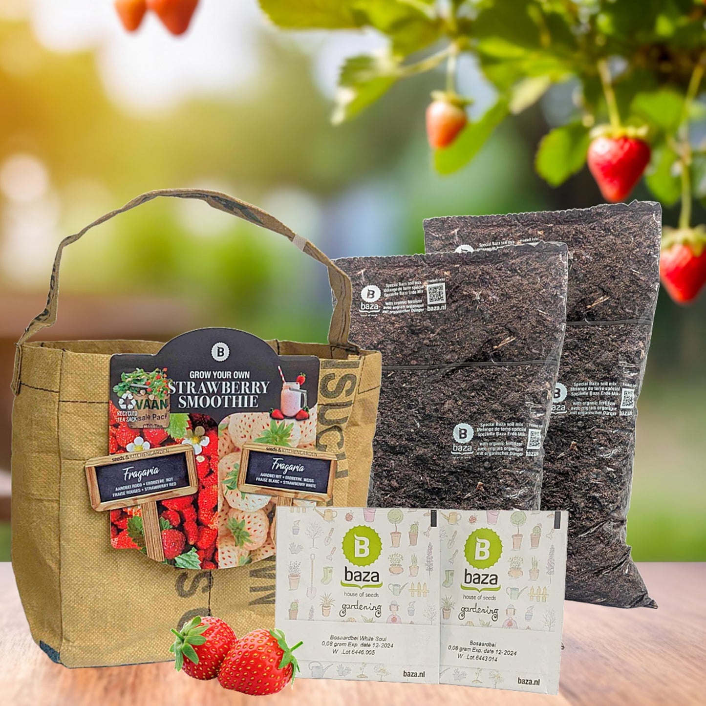 Grow Your Own Strawberry Growing Kit White & Red Seeds + Soil & Grow Bag