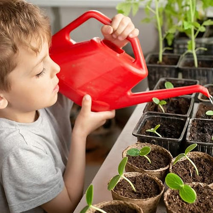 Grow Your Own Vegetable Seeds Set of 12