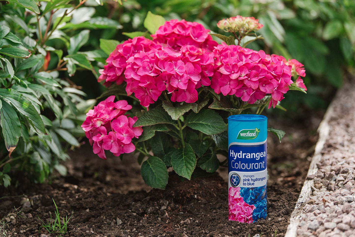 Westland Hydrangea Colourant 500g