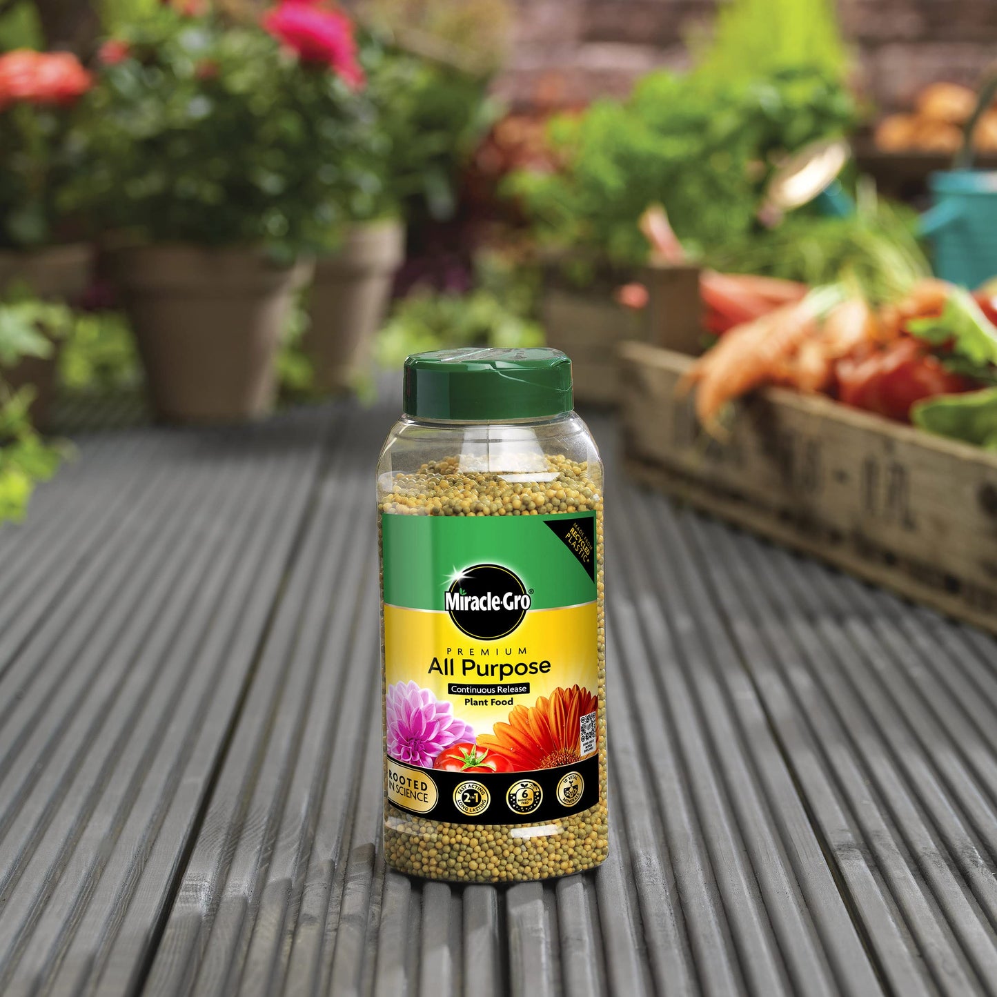 Miracle-Gro Premium Rose & Shrub Continuous Release Plant Food 900g