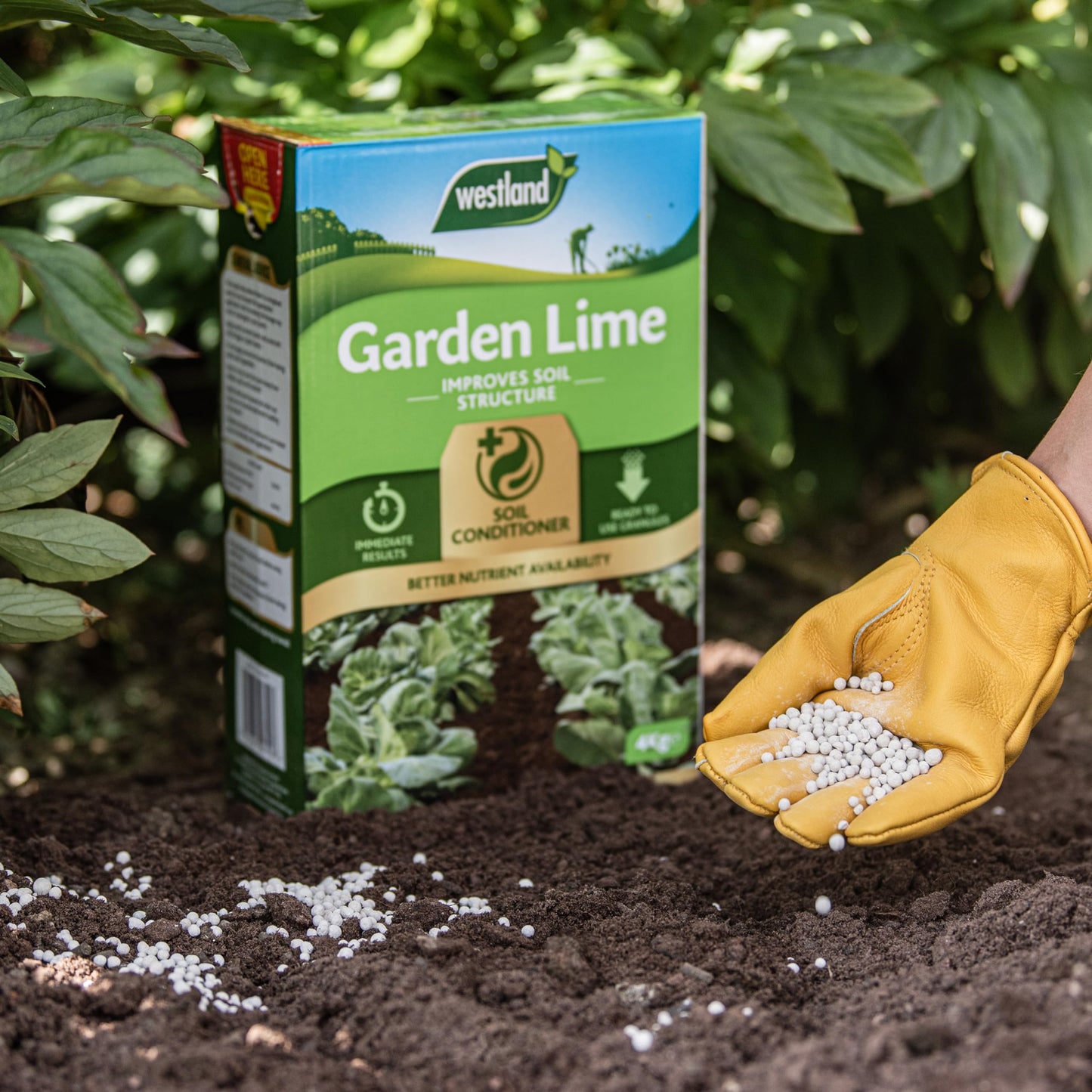 Westland Garden Lime Soil Conditioner