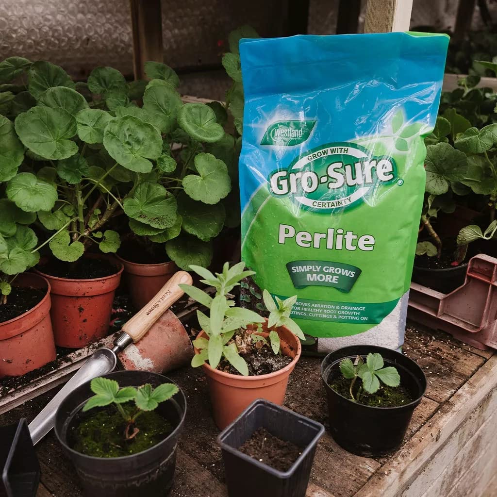Garden Gro-Sure Perlite Potting Mix - 10L Perlite Grit for Plant Pots with Topline Card. Garden Potting Mix Granules for Outdoor Plants or Houseplants.