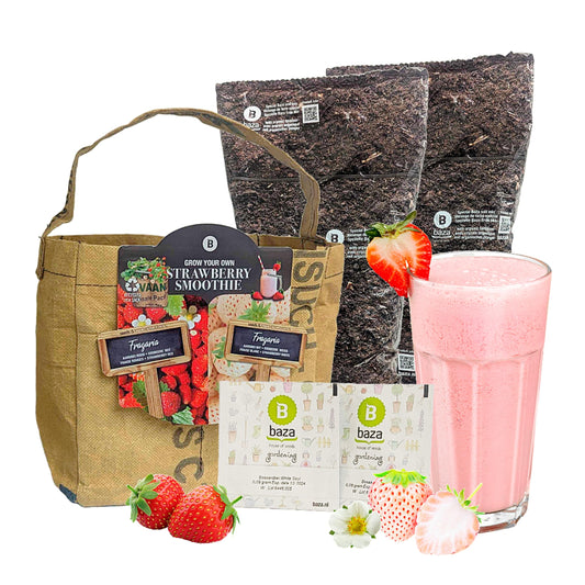 Grow Your Own Strawberry Growing Kit White & Red Seeds + Soil & Grow Bag