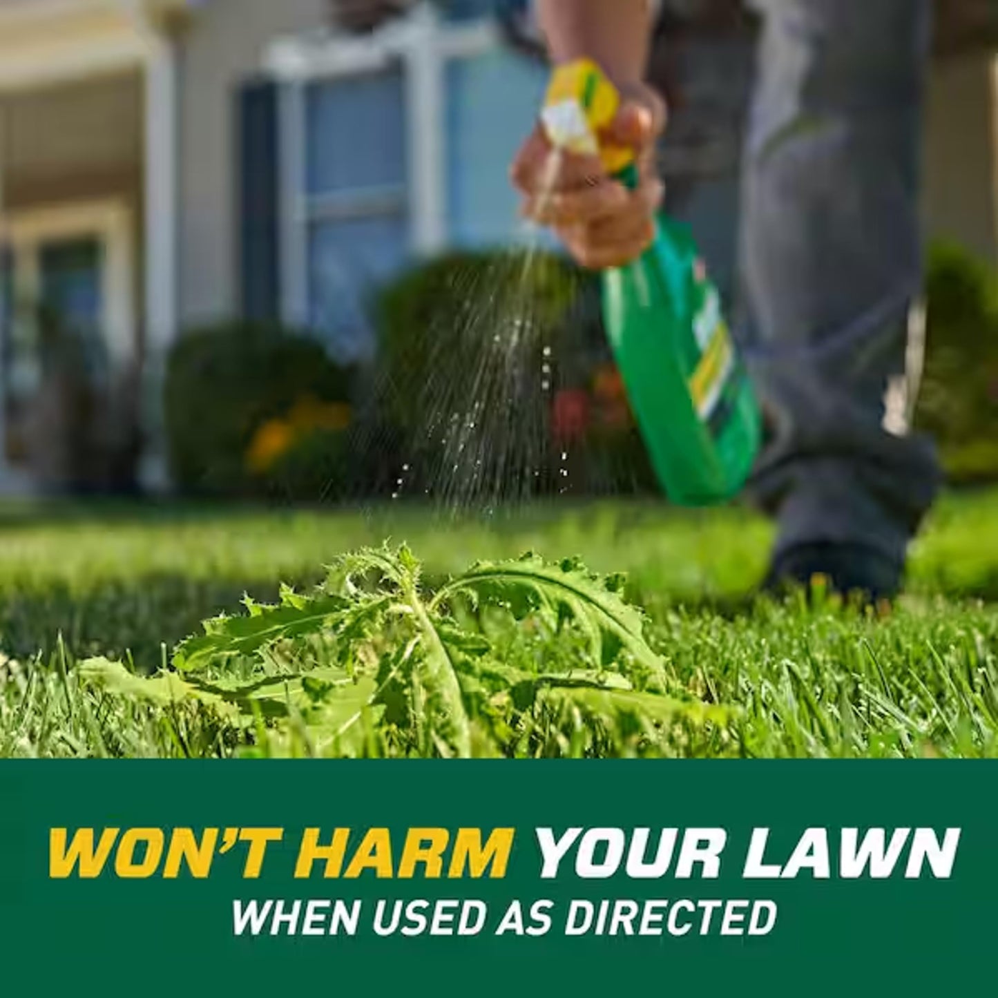 Garden Lawn Weed Killer Bundle - Pack of 2 x1L Ready to Use Weedol Lawn Weed Killer Weed Control with Topline Card. Strong Weedkiller for Dandelions, Daisies and more