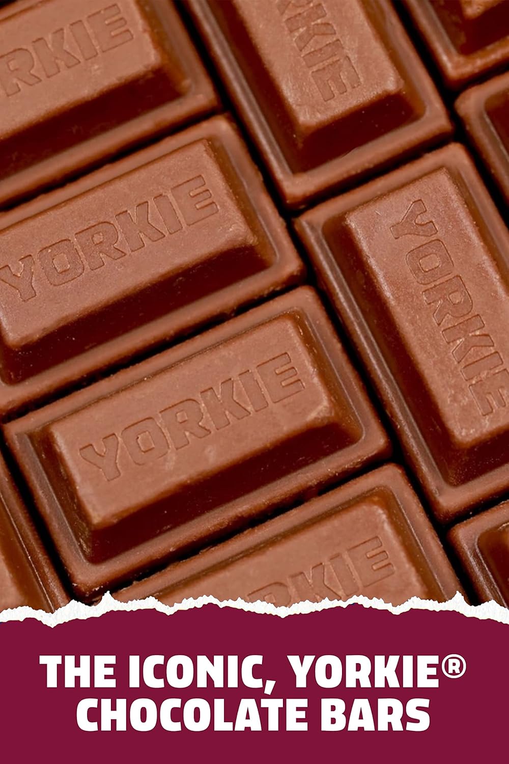 Yorkie Raisin & Biscuit Incredible Easter Egg – 388g