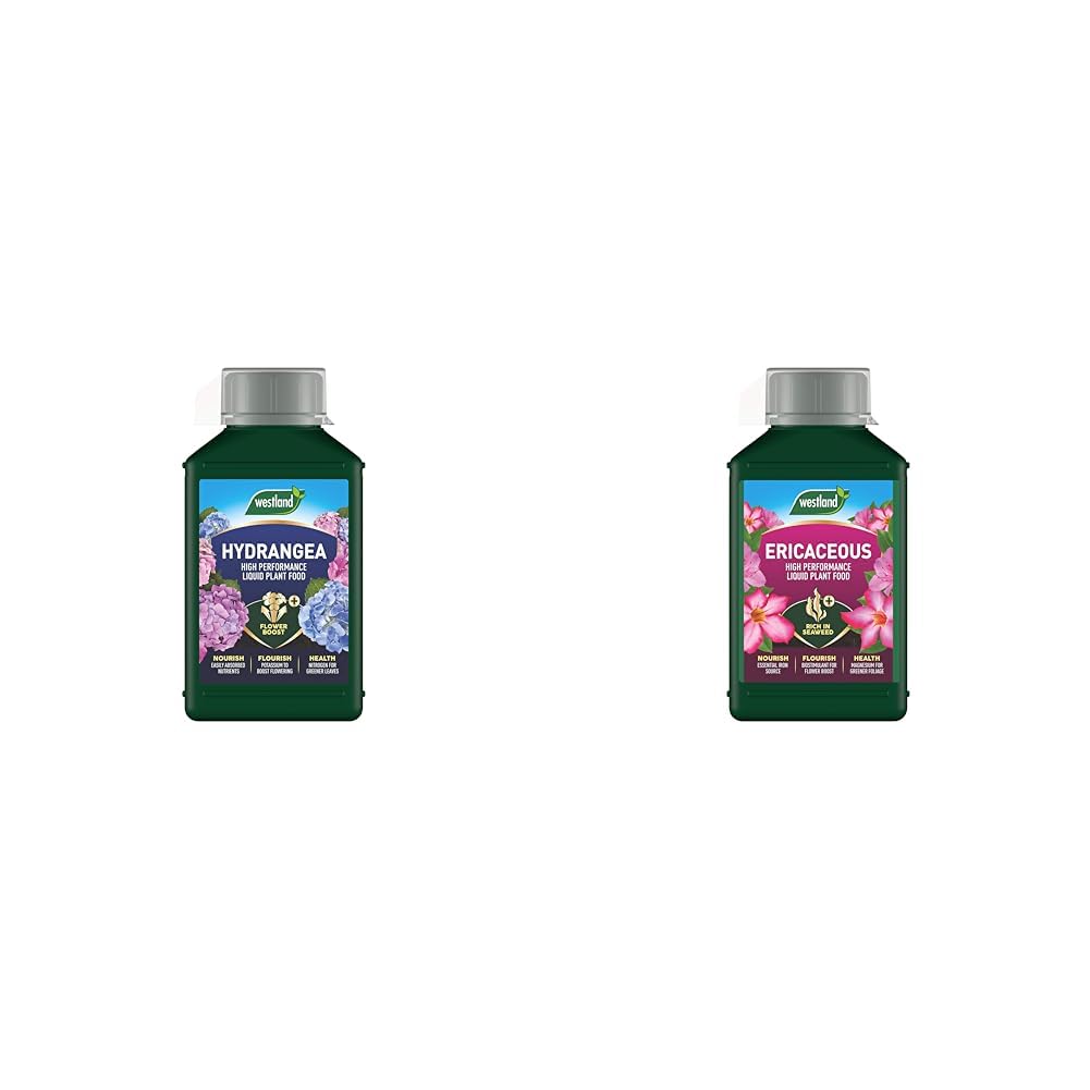 Westland Hydrangea High Performance Liquid Plant Food 1L