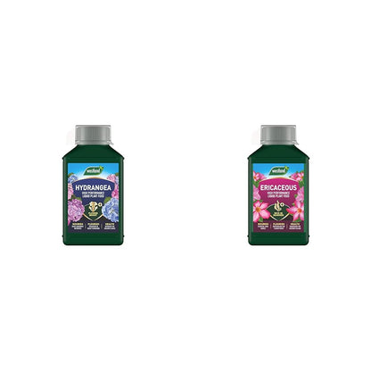Westland Hydrangea High Performance Liquid Plant Food 1L
