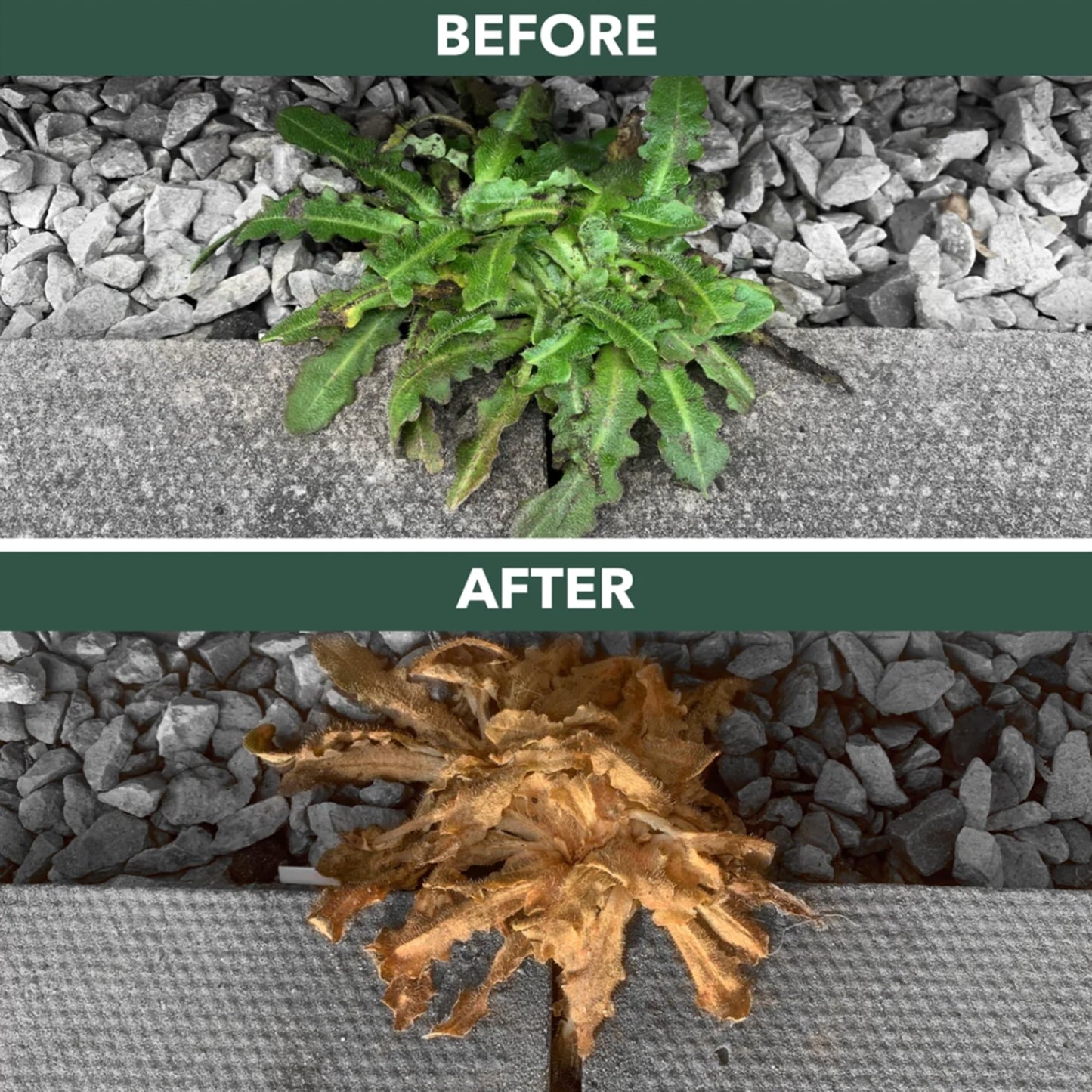 Path & Gravel Weed Killer Sprayer - Pack of 2 x 1L Weed Control Ready to Use Weed Killer Spray for Paths, Driveways & Permeable Patios. Strong Weed Killer with Topline Card. Visible Results in 2-3h