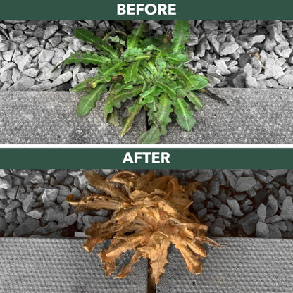 Garden Fast Action Weed Killer - Pack of 2 x 1L Ready To Use Path & Drive Concentrate Weedkiller Garden Sprayer Bundle with Topline Card. Weed Killer Extra Strong for Driveways, Paths