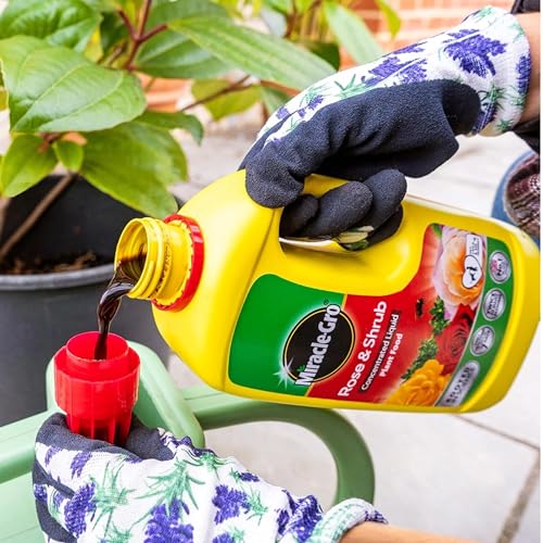 Miracle Grow Rose Feed Fertiliser - Bundle of Rose & Shrub 900g Continuous Release Plant Feed Granules & 800ml Concentrated Liquid Plant Food. Garden Plants Fertilizer for Roses with Topline Card