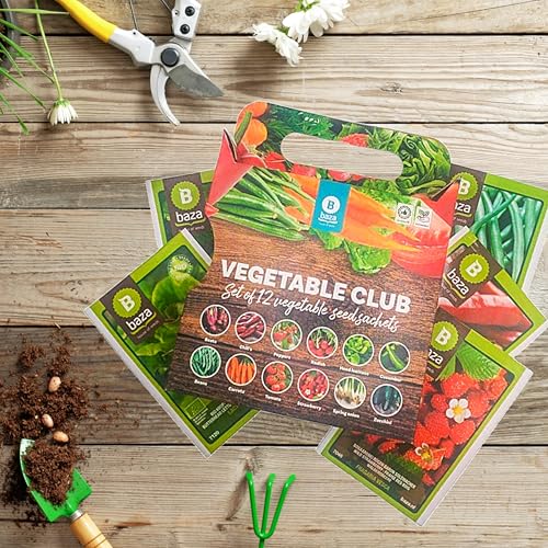 Grow Your Own Vegetable Seeds Set of 12