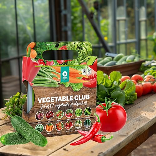 Grow Your Own Vegetable Seeds Set of 12