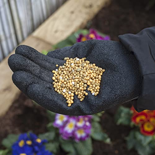 Miracle-Gro Continuous Release All Purpose Plant Food 900g