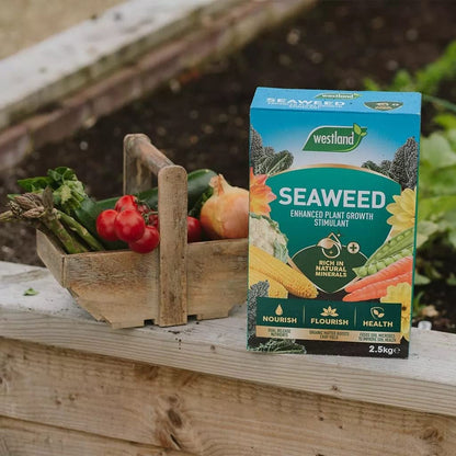 Garden Plant Feed Fertiliser Bundle - 2.5kg Organic Seaweed Stimulant & 1.5kg Epsom Salt, Garden Fertilisers for Growing Healthy and Stronger Garden Plants, Vegetables with Topline Card.
