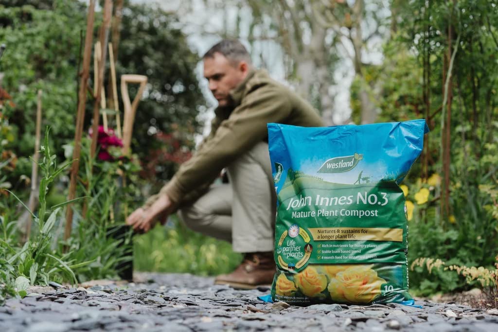 Westland Peat Free Garden Compost - John Innes No3 Mature Plant Potting Seedling Compost 2 x 10L Bags with Topline Card for Outdoor & Indoor House Plants.