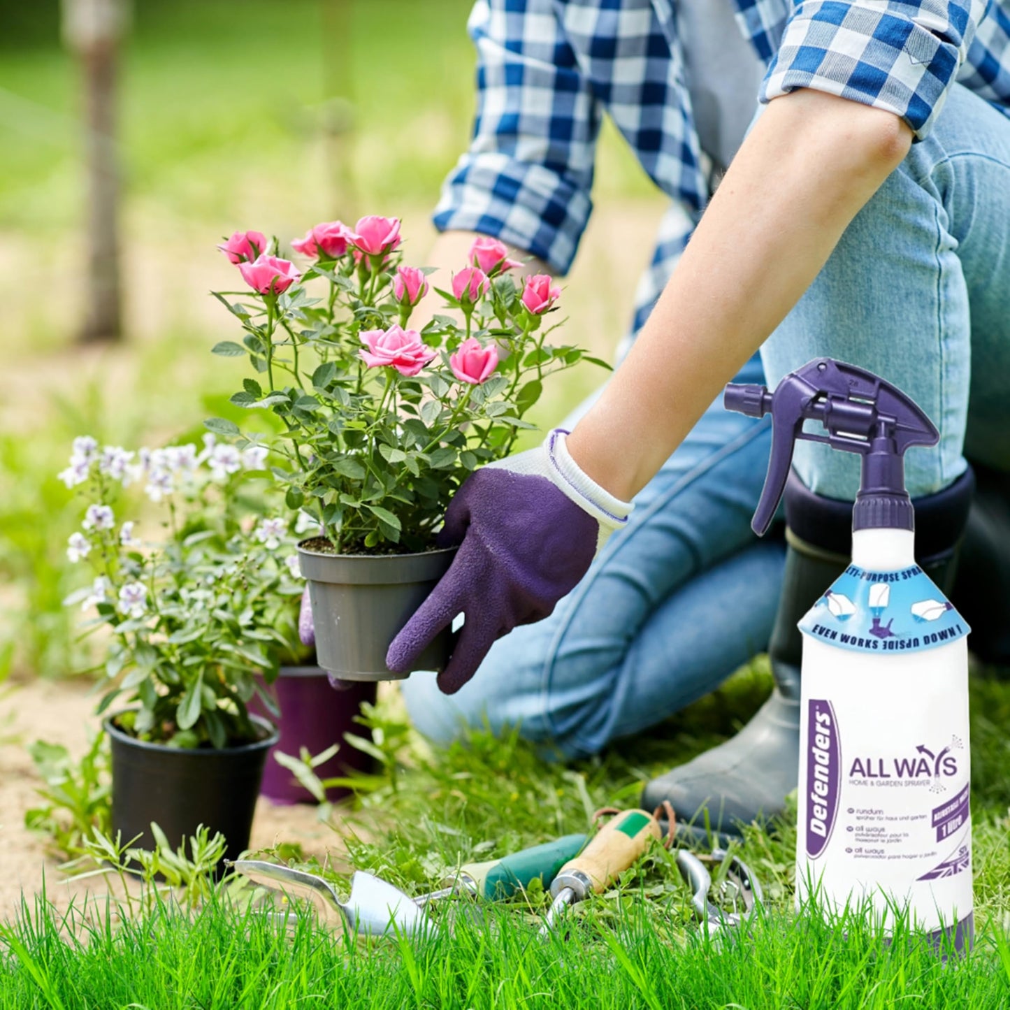 Rose Clear Bug Spray Killer - 1L Multi Purpose Home & Garden Spray Bottle & 3 in 1 Rose Ultra Shield Concentrate 200ml Insecticide and Fungicide Insect Killer. Rose Plant Protection with Topline Card