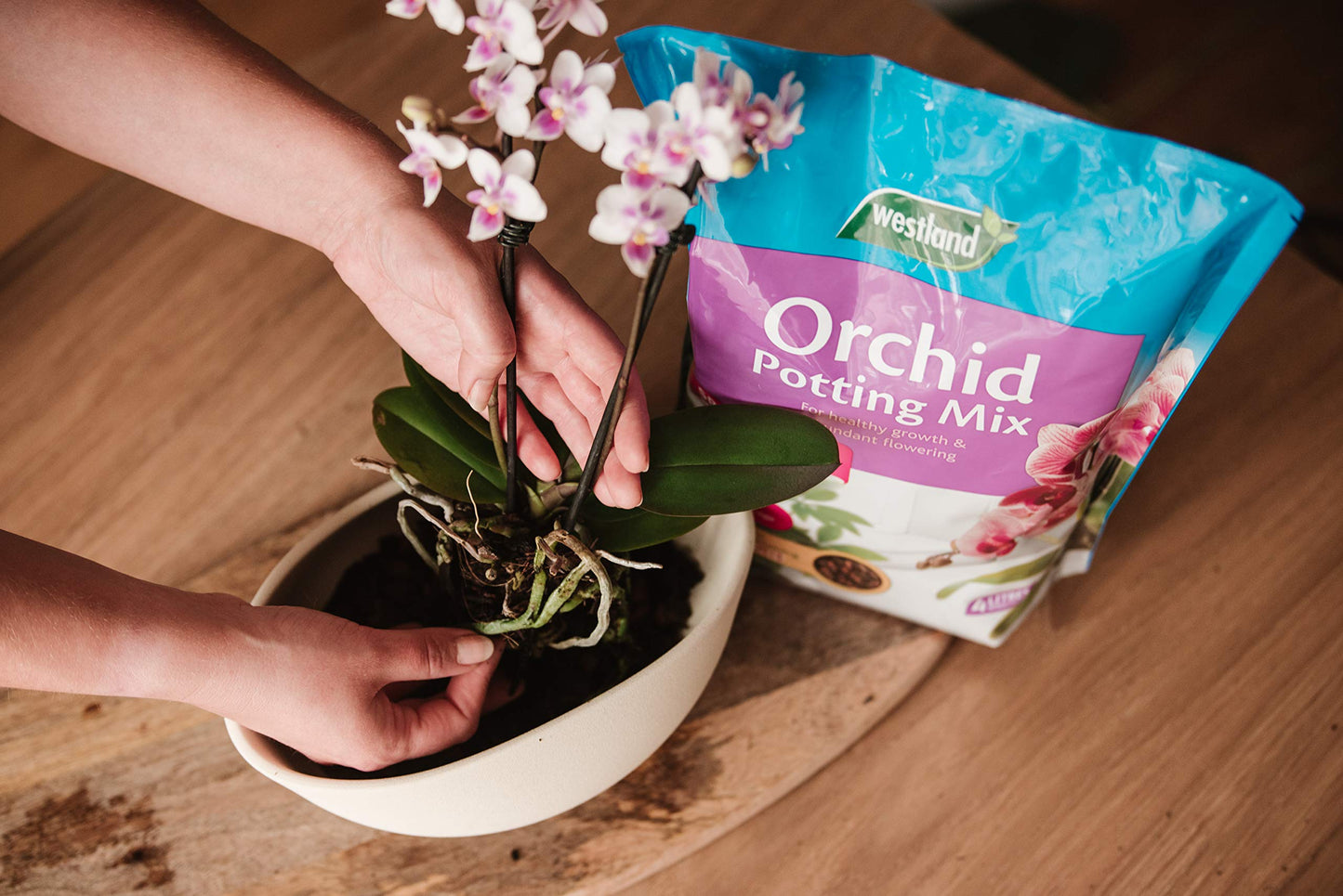 Westland Houseplant Potting Compost
