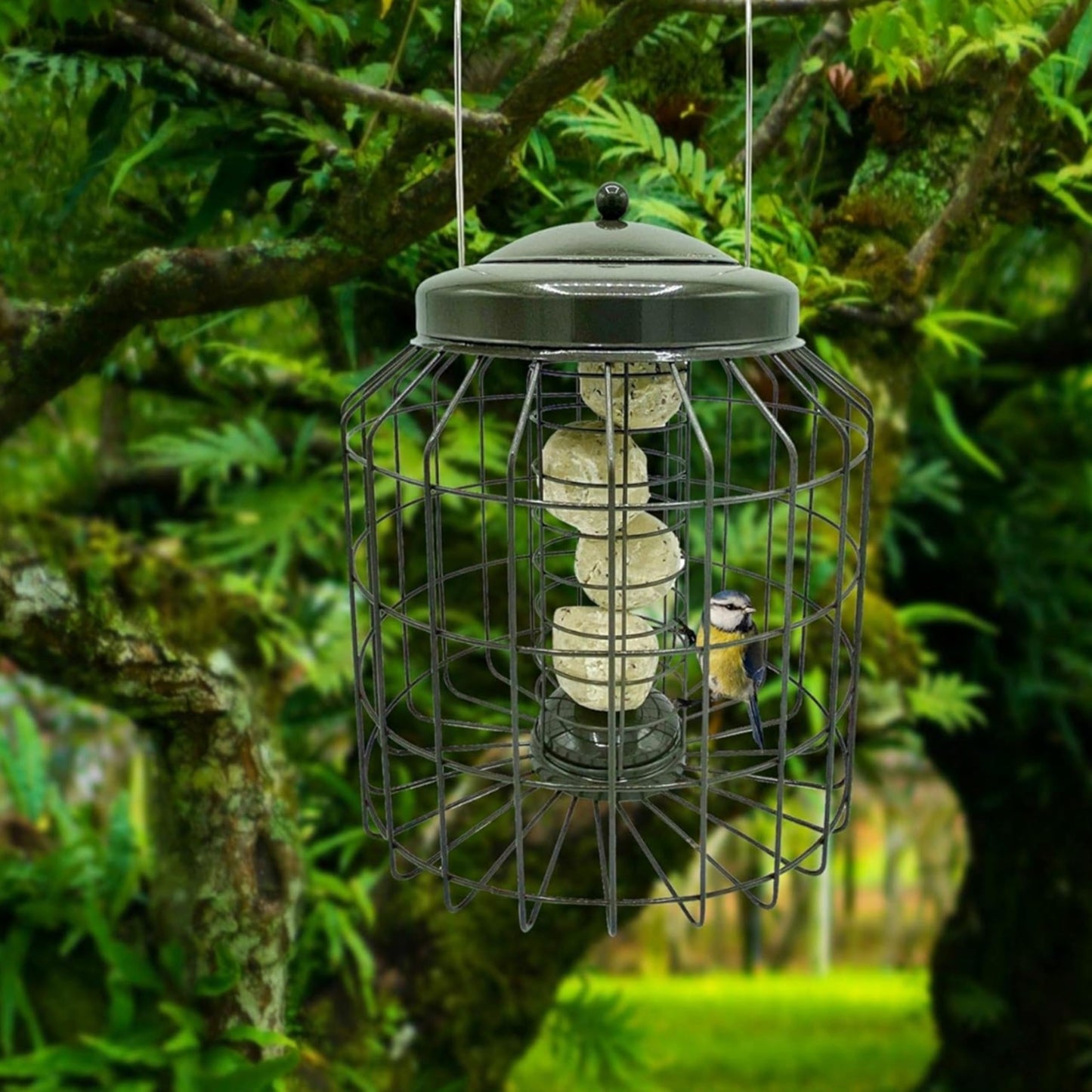 Squirrel Proof Small Bird Feeders - Large Heavy Duty Metal Hanging Bird Feeder for Wild Bird Food. Anti Squirrel Bird Feeder Bird Cage. Great for Hanging Station, Gardening Gifts. (Fat Balls)