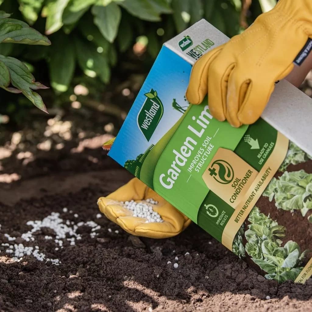Garden Plant Food Fertiliser Bundle - 4kg Garden Lime Soil Conditioner & 1.5kg Epsom Salt Green Foliage Fertilizer for Growing Healthy and Stronger Garden Plants with Topline Card.