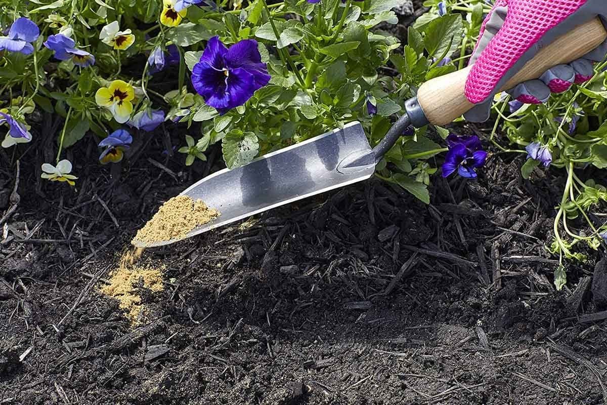 Bone Meal Plant Feed Fertiliser - Easy to Use Plant Food 4kg Bonemeal Granules for Garden Plants with Topline Card. Rich in Calcium for Healthy Strong New Growth. Ideal for Trees and Shrubs.…