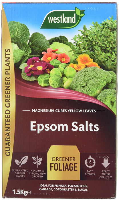 Westland 20600007 1.5 kg Epsom Salts Foliage Greener Fertilizer - Transparent