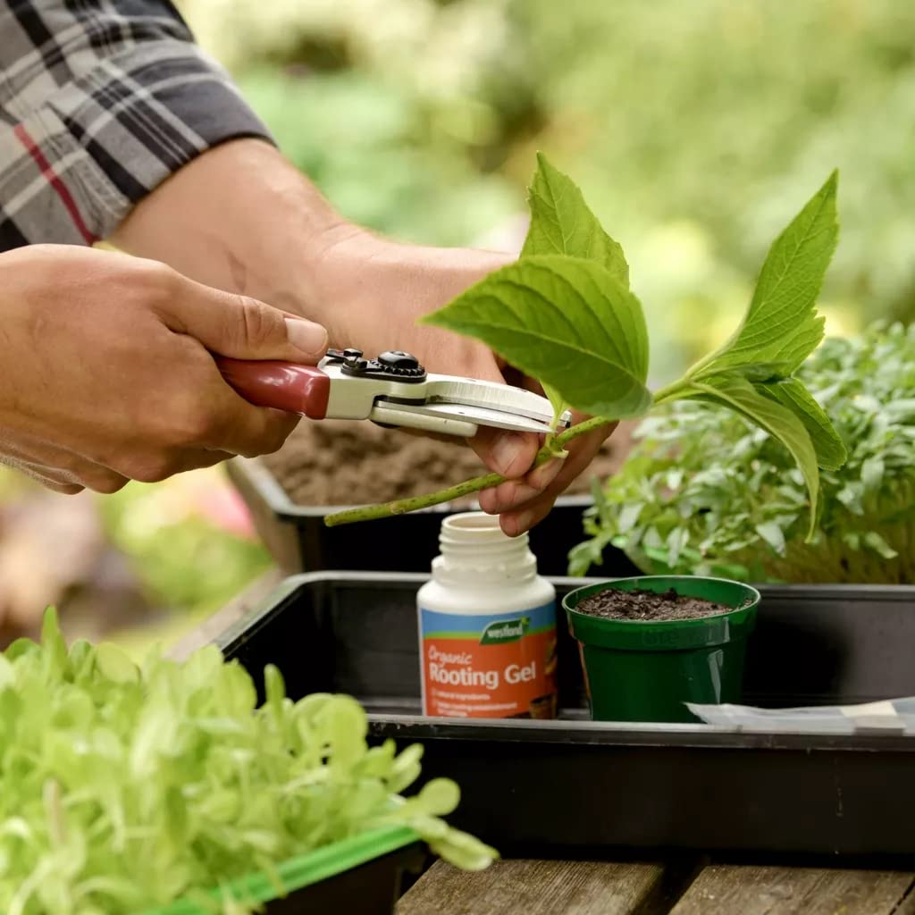 Perlite & Rooting Gel Fertilizer Bundle - 10L Perlite Potting Mix & 150ml Organic Rooting Gel for Garden Plants. Plant Feed, Strong Root Fertiliser with Topline Card.