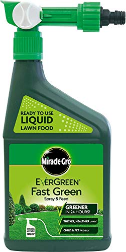EverGreen Spray & Feed Lawn Food 1L