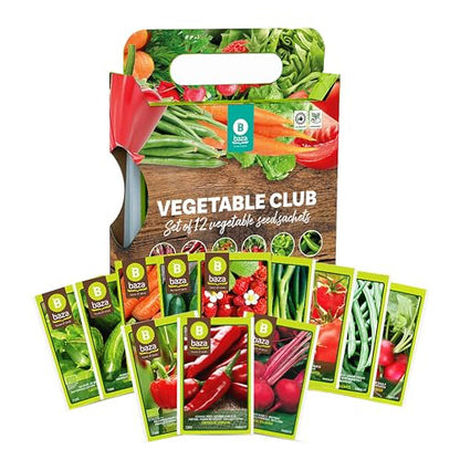 Grow Your Own Vegetable Seeds Set of 12