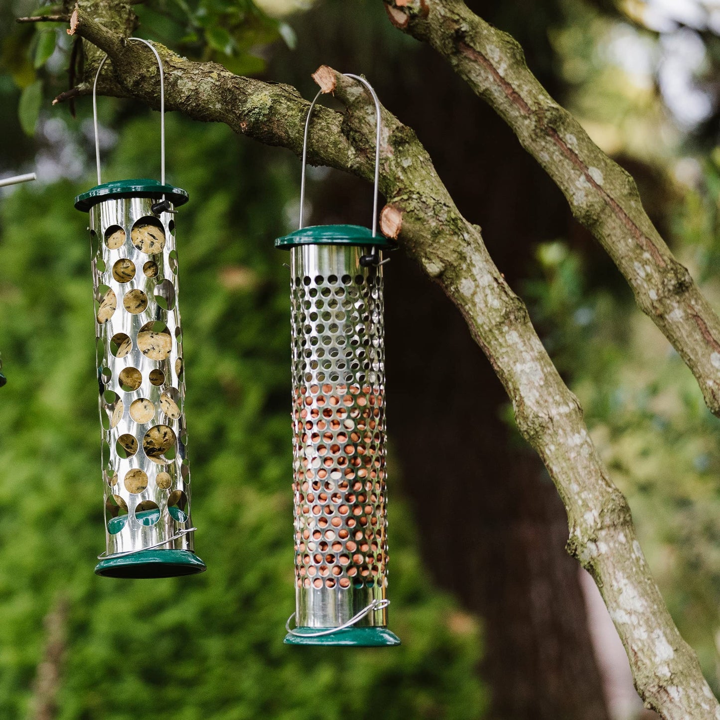 Peckish Large Metal All Weather Nyger Seed Bird Feeder