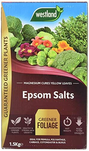 Westland 20600007 1.5 kg Epsom Salts Foliage Greener Fertilizer - Transparent