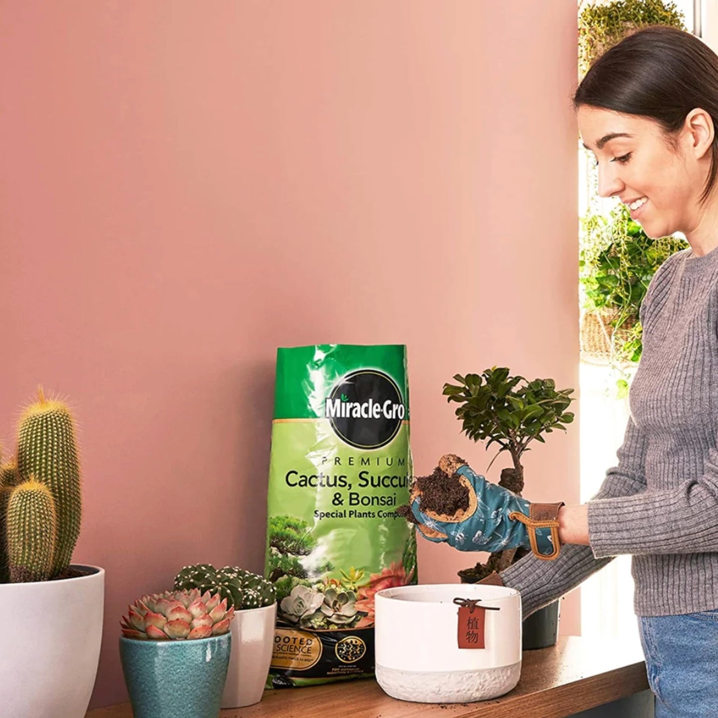 Cactus Succulent Plants Potting Compost - Premium Pack of 2 x 10L Peat Free Bonsai Tree Cactus Compost with Topline Card. Child and Pet Friendly Houseplant Compost for Indoor Plants