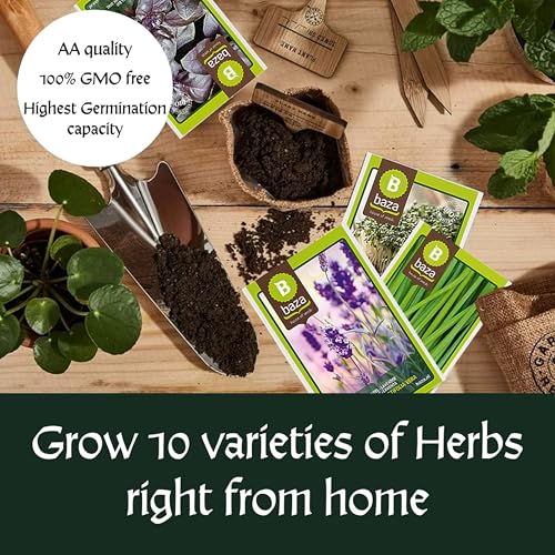 Herbs Grow Your Own Kit Set of 10 Seeds