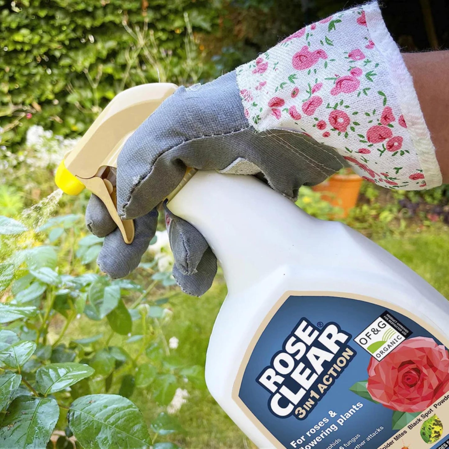 Rose Clear Bug Spray Killer 800ml Pack of 2