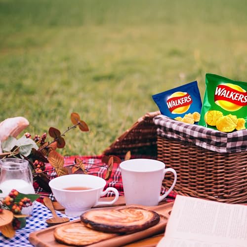 72 TOTAL BAGS Crisps Multipack - Snack Box of 66 x 25g Assorted Classic Walkers Crisps with 6 EXTRA 25g Bags, 3 x Chicken & 3 x Tomato. Giant Box of Potato Snacks for Birthday Party, Pub Snacks