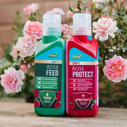 Rose Plant Feed & Protect Bundle - 3kg Rose Plant Food Pellets & Rose 2 in 1 Feed and Protect Concentrated 2x500ml. Garden Fertiliser for Outdoor Plants with Topline Card.