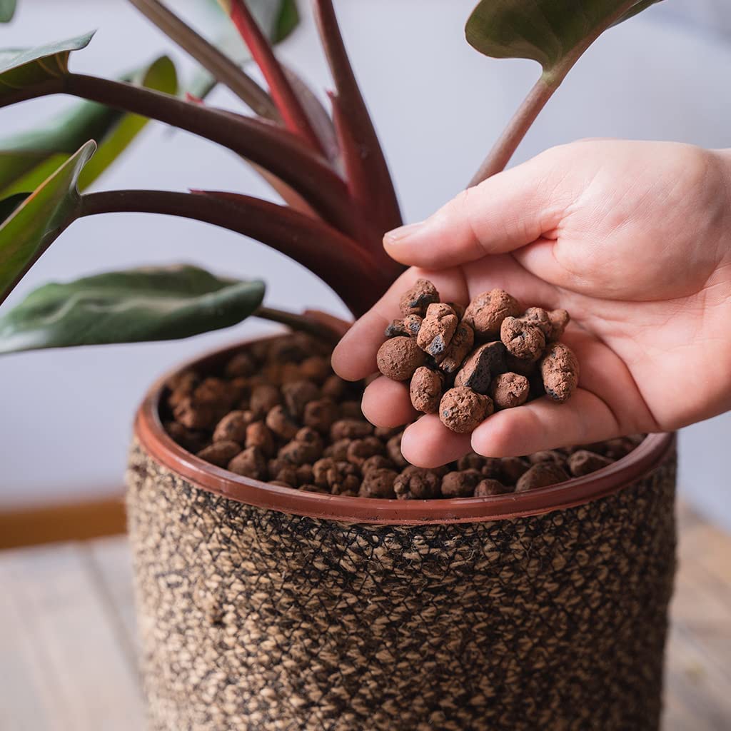 Topline Garden Hydroleca Clay Granules Bundle - Pack of 2 Lightweight Hydroleca Ceramic Clay Pebbles 10L Bags Card. Potting Mix for House Plants, Orchids, Cactus and more..