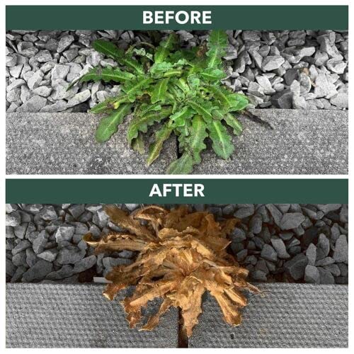 Resolva Weed Killer Sprayer - 3L Resolva Path & Drive 2in1 Weedkiller Ready to Use Garden Sprayer with Topline Card. Dandelion Weed Burner for Driveways, Paths or Patios.