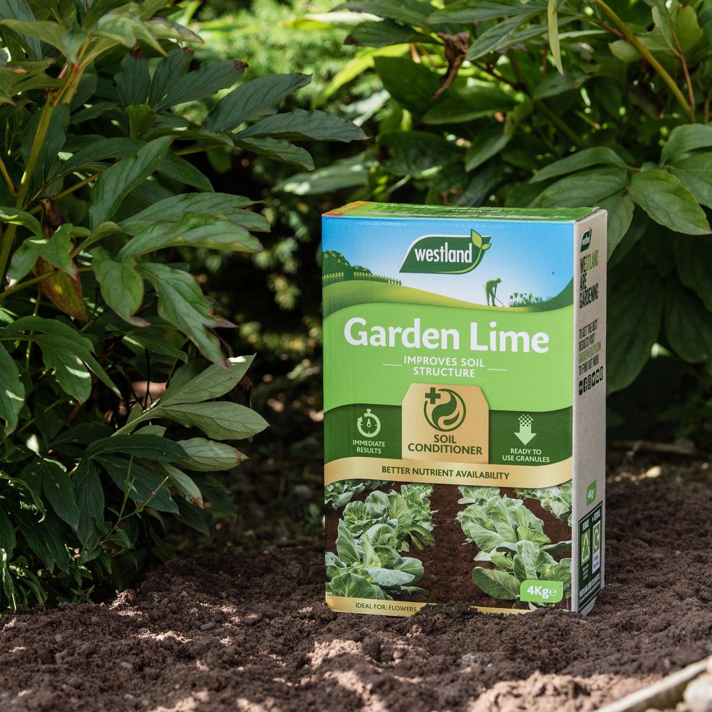 Westland Garden Lime Soil Conditioner