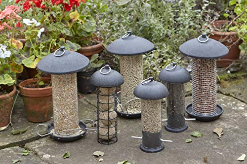 Gardman Poppy Bird Bath