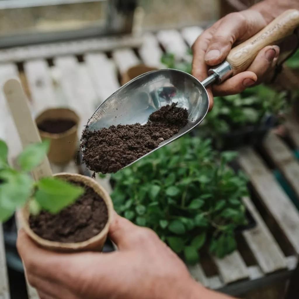 Westland Peat Free Garden Compost - John Innes No2 Potting-On Compost 10L Bag. Potting Compost for Outdoor Plants, Vegetables Growing or House Plants with Topline Card.