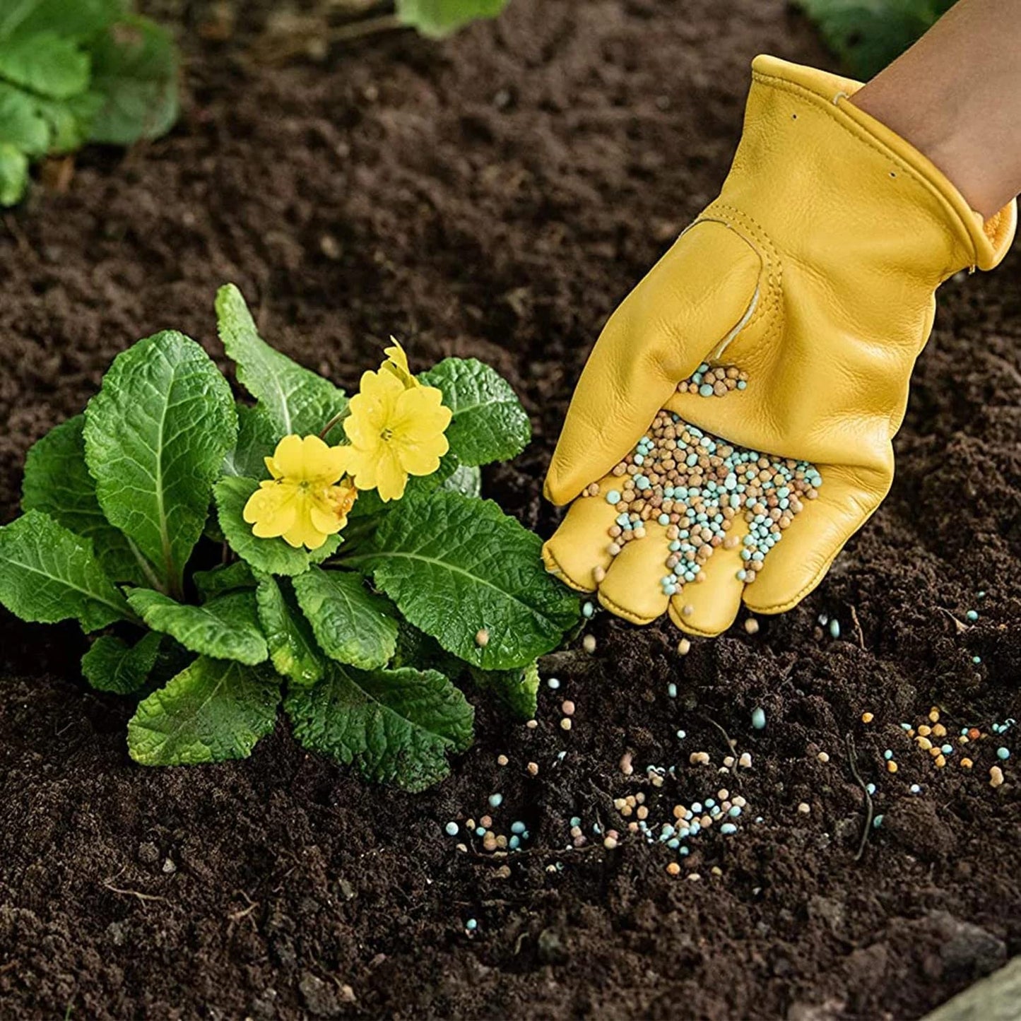 Garden Plant Feed Fertiliser Bundle Organic Chicken Manure Pellets 5kg + Gro-Sure All Purpose Slow Release Plant Food 2kg